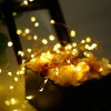 battery operated led string light