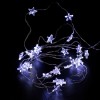 Electric LED String Lights