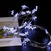 LED Fairy Lights