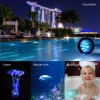 Submersible LED Lights with Remote