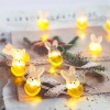 Easter Bunny with Egg LED Fairy Lights