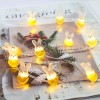 LED String Lights