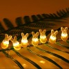 Indoor Decor LED String Lights