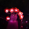 Heart LED String Lights