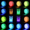 Submersible LED Lights
