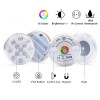 Submersible LED Light