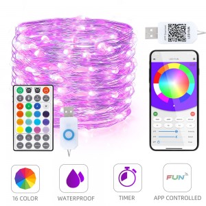 2 Wire Bluetooth APP Controlled LED String Lights